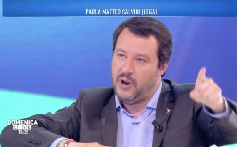 MATTEO SALVINI A DOMENICA LIVE