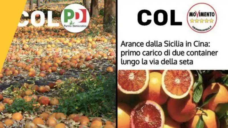 arance italiane in cina nel m5s esultano