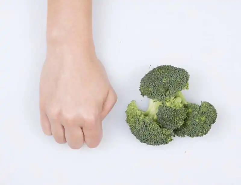 calcolare la giusta porzione di cibo con le mani 10