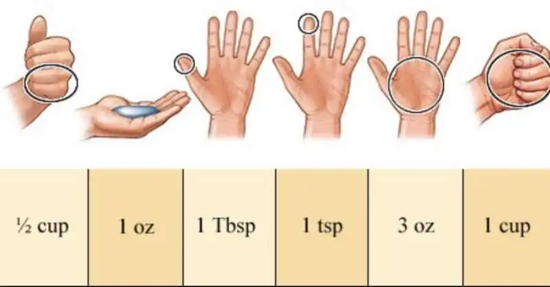 calcolare la giusta porzione di cibo con le mani 13