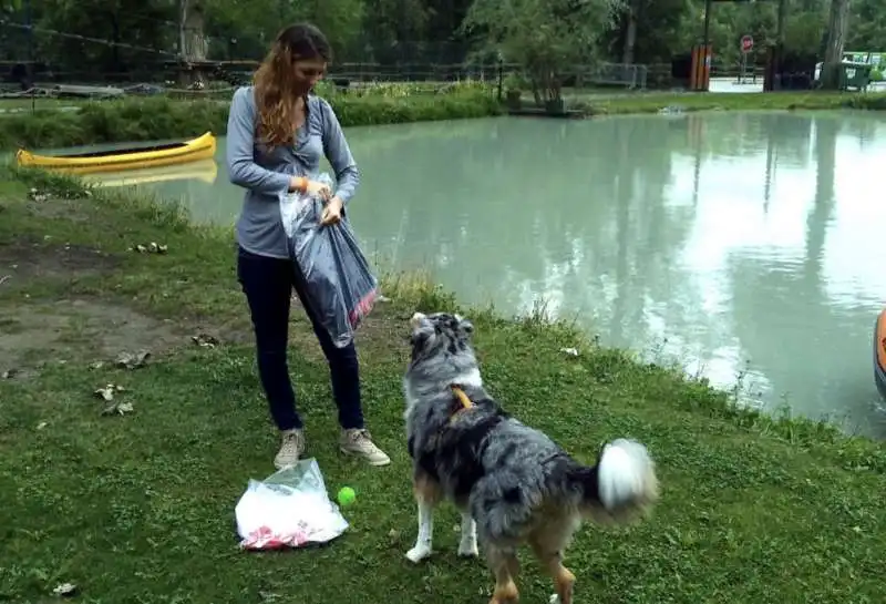 cane fa il bagno nel lago 6