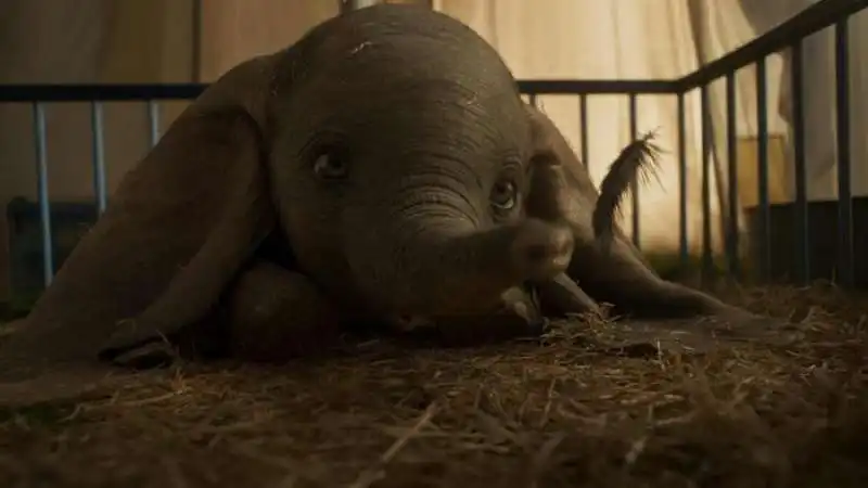 dumbo live action  8