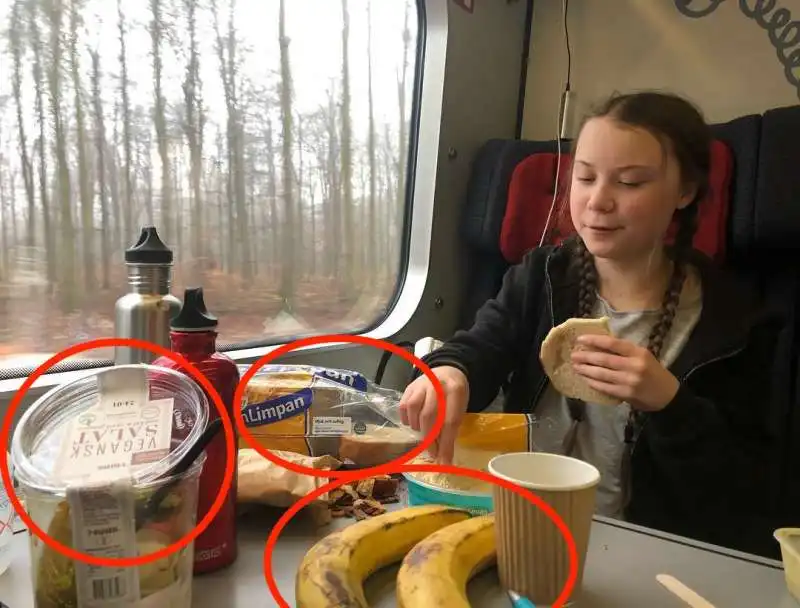 greta thunberg in treno col suo pranzo per niente eco-friendly