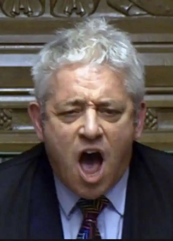 john bercow 18