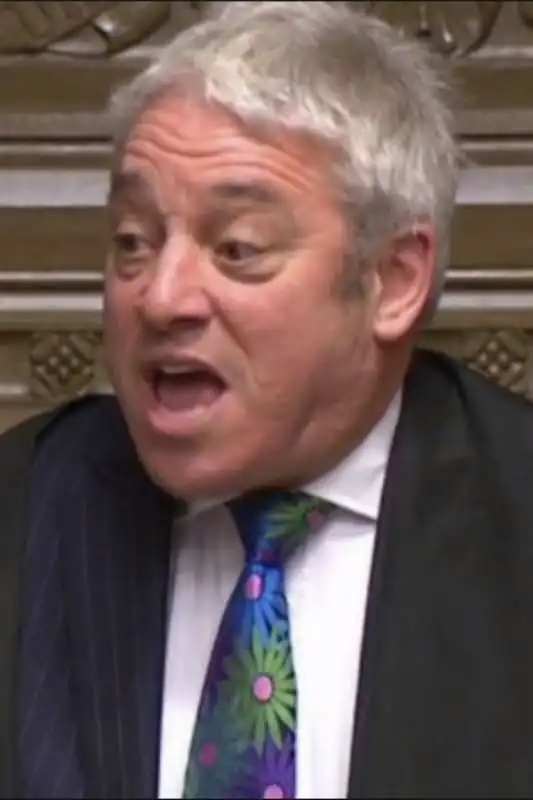 john bercow 20