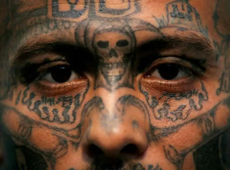 mara salvatrucha gang latinos 3