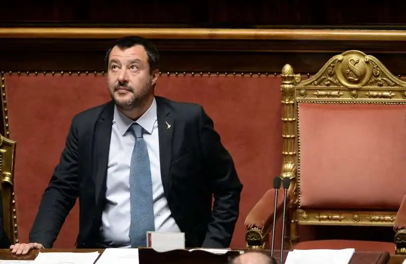 matteo salvini 1