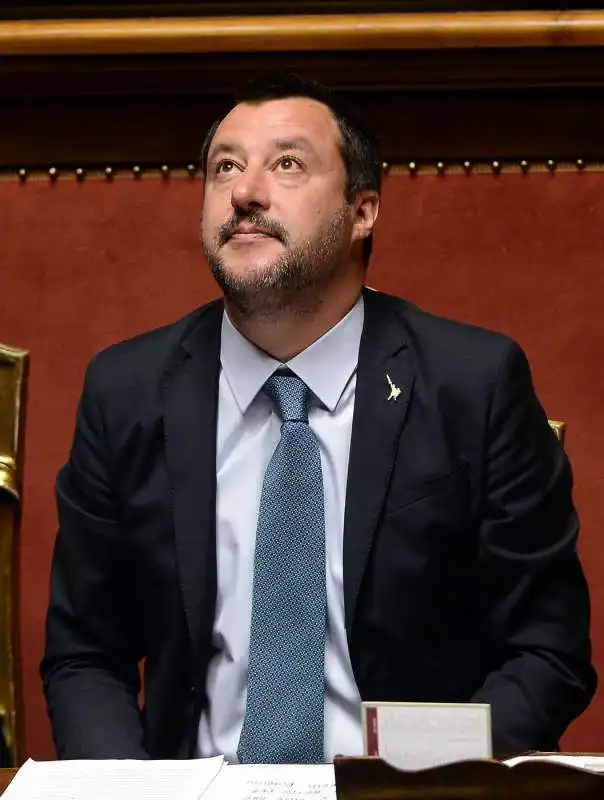 matteo salvini in senato