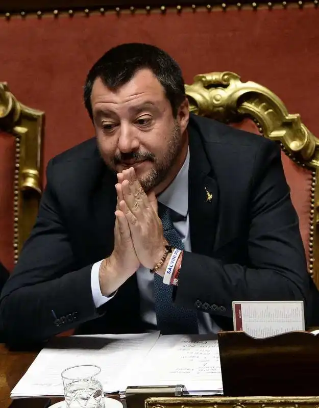 matteo salvini in senato 2