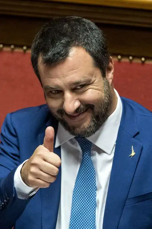 matteo salvini in senato per l'approvazione della legge sulla legittima difesa 4