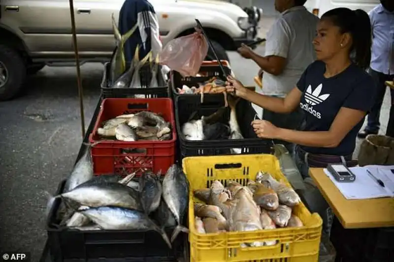 mercato del pesce a caracas