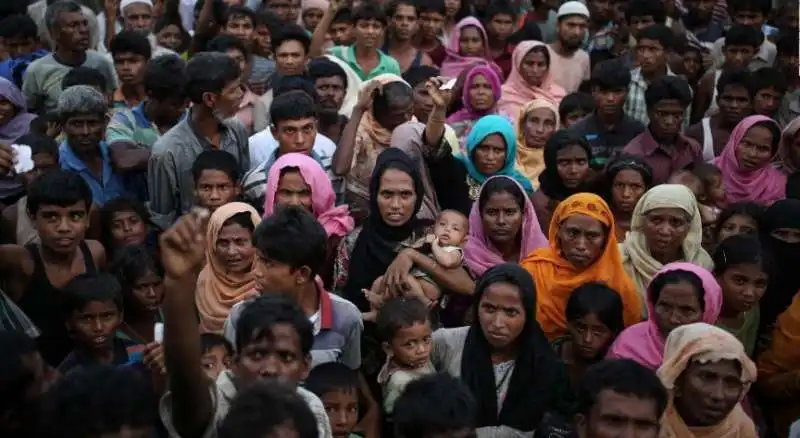 rohingya 2