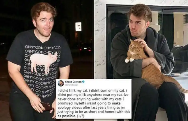 shane dawson e il suo gatto 1