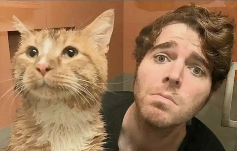 shane dawson e il suo gatto 11