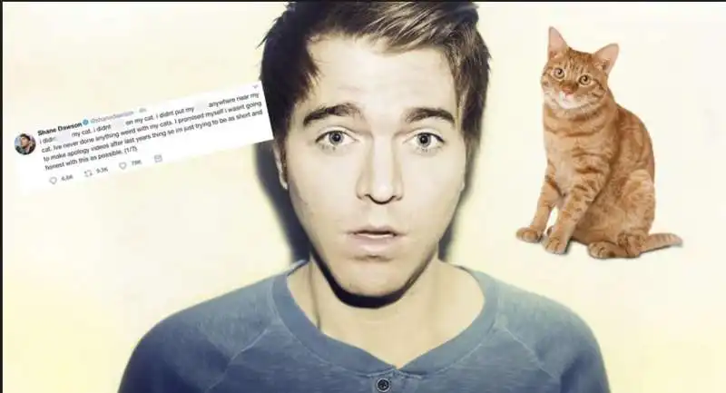 shane dawson e il suo gatto 12