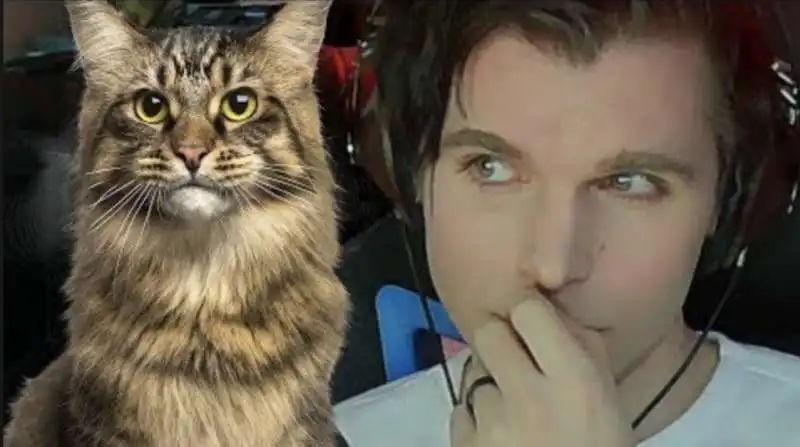 shane dawson e il suo gatto 13