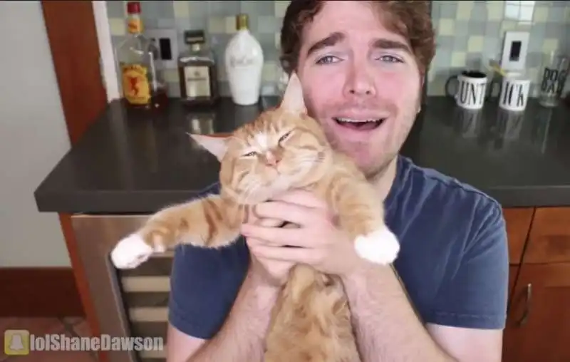 shane dawson e il suo gatto 4