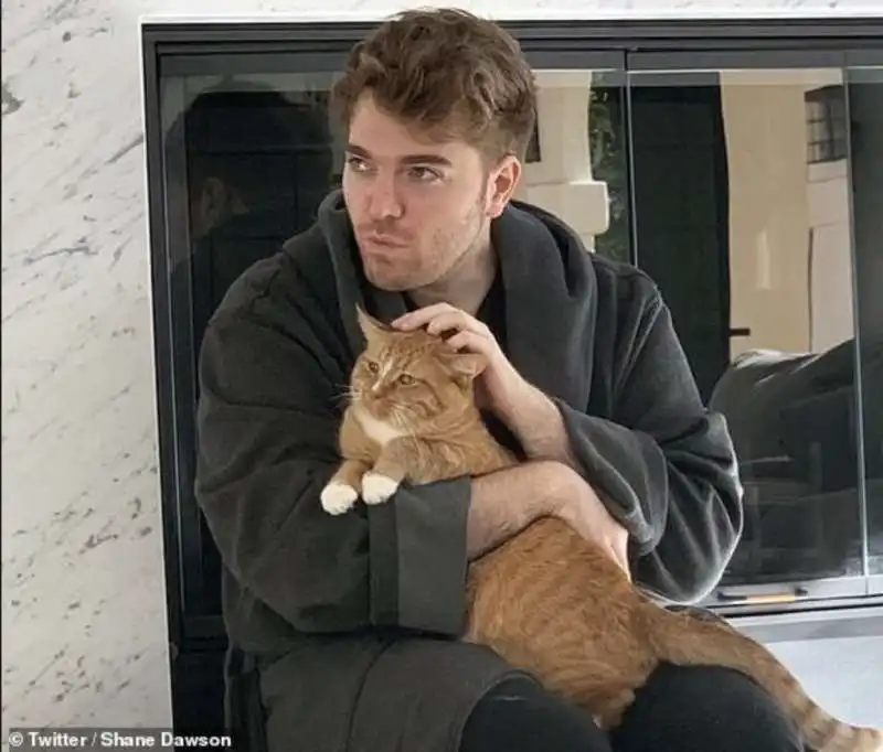 shane dawson e il suo gatto 5