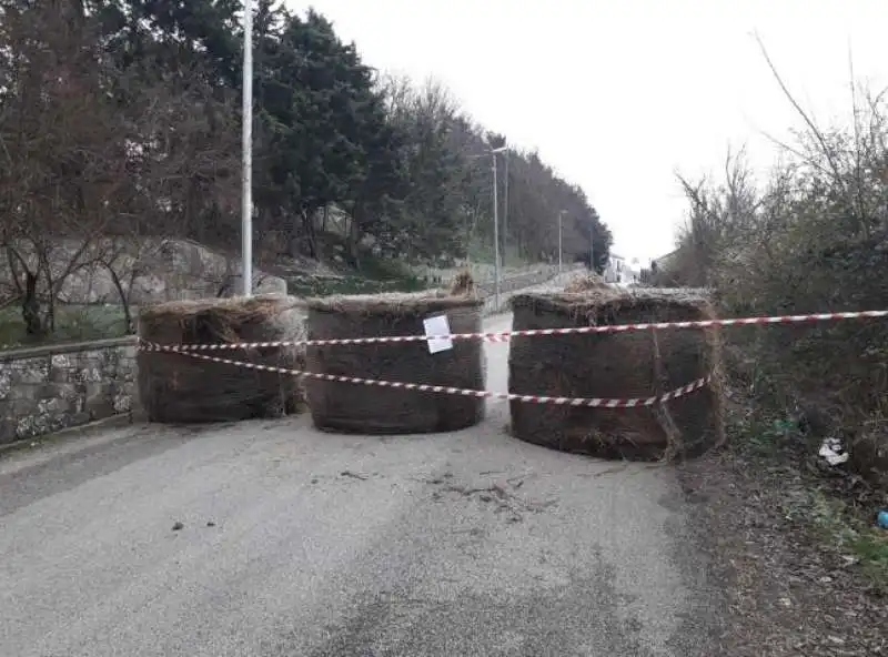 balle di fieno per bloccare le strade a monteleone di puglia 1