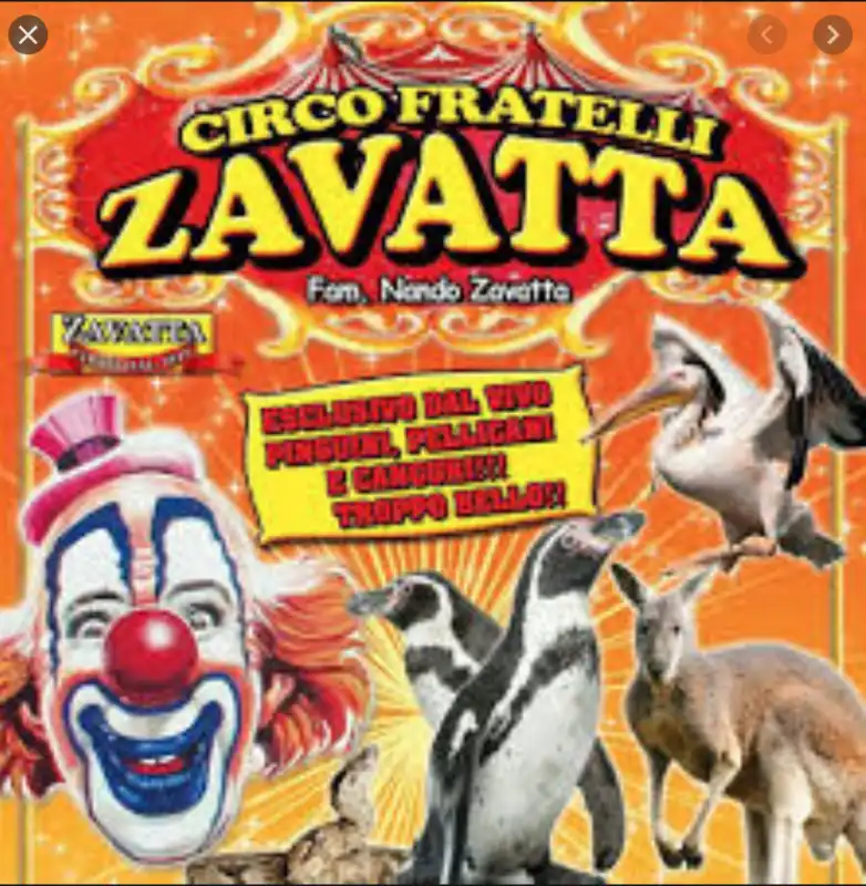 circo zavatta