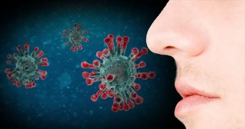 CORONAVIRUS OLFATTO