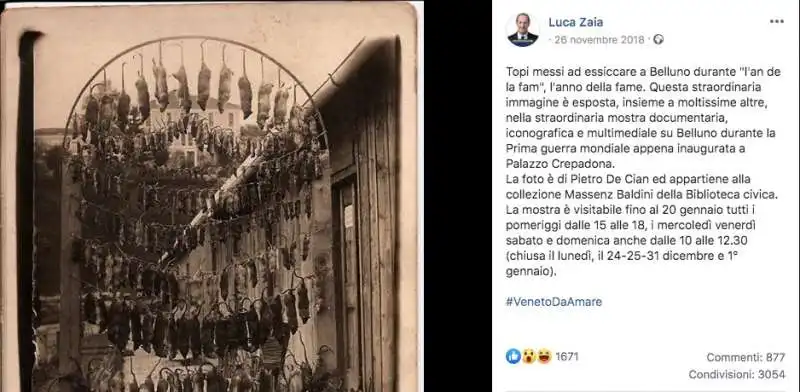 luca zaia e i topi a belluno