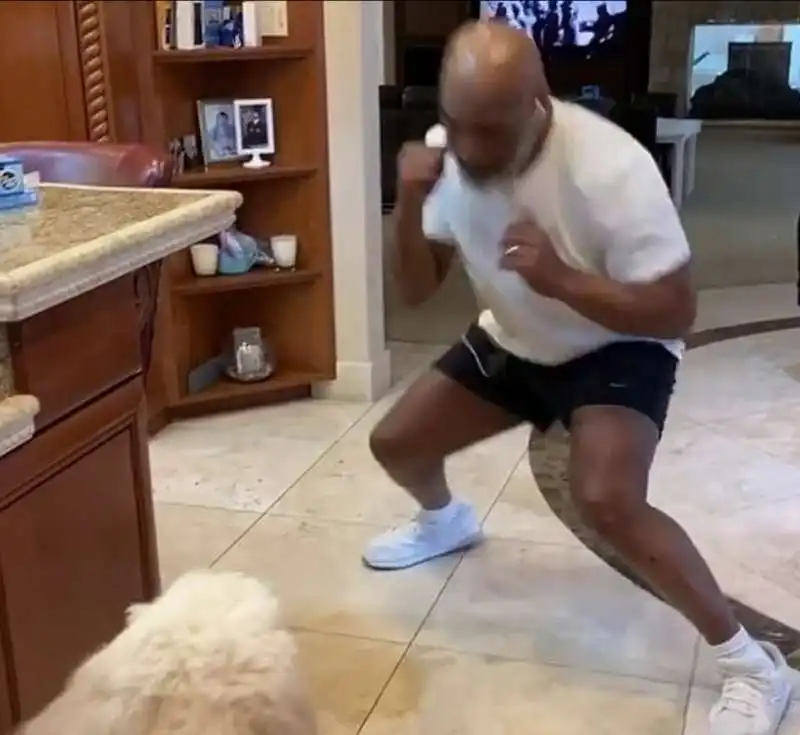 mike tyson 2