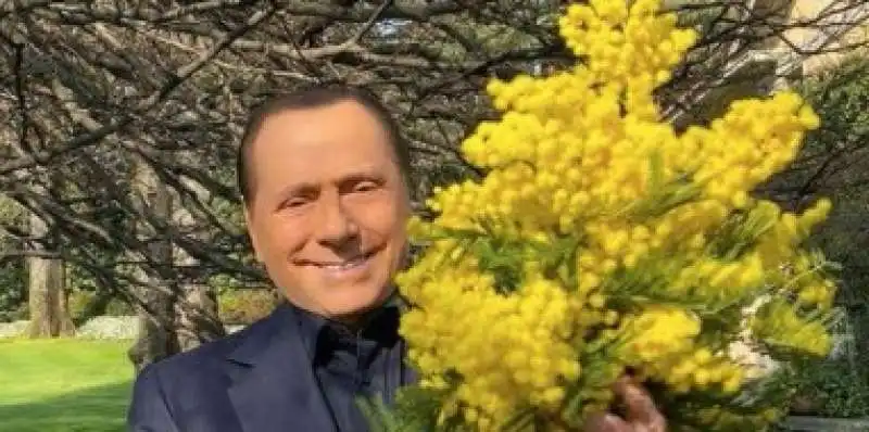 BERLUSCONI E LE MIMOSE