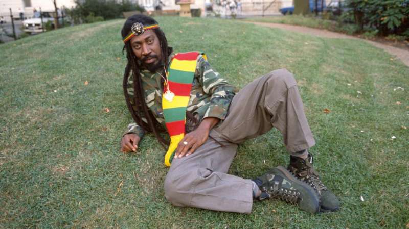 bunny wailer 10