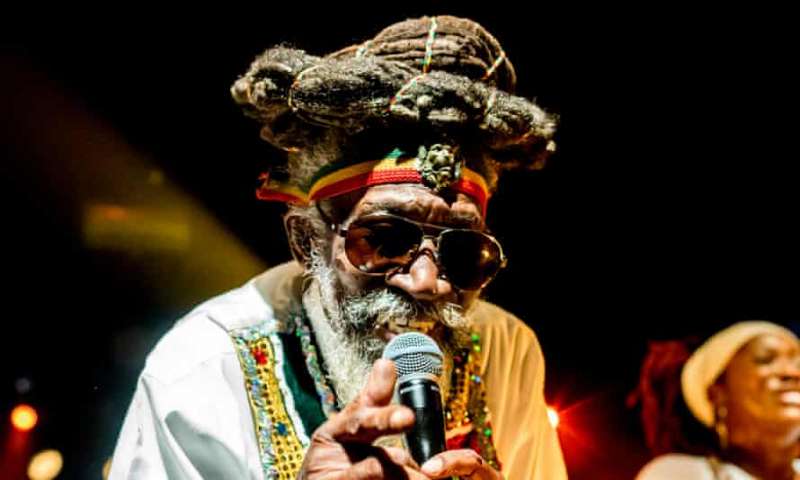 bunny wailer 12