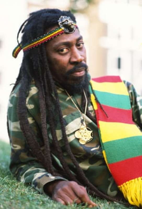 bunny wailer 13