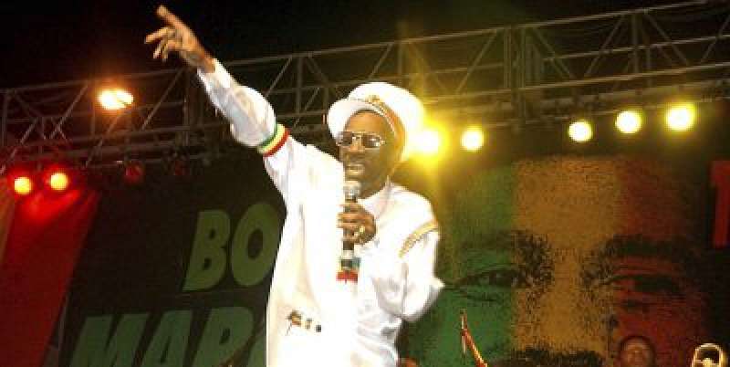 bunny wailer 2