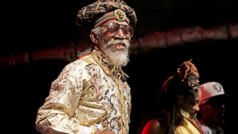 bunny wailer 6