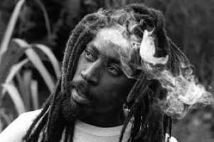 bunny wailer 7