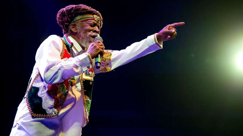 bunny wailer 8