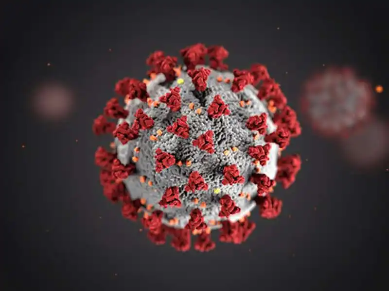 coronavirus