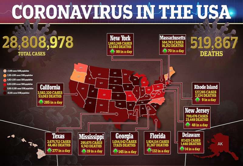 coronavirus negli usa