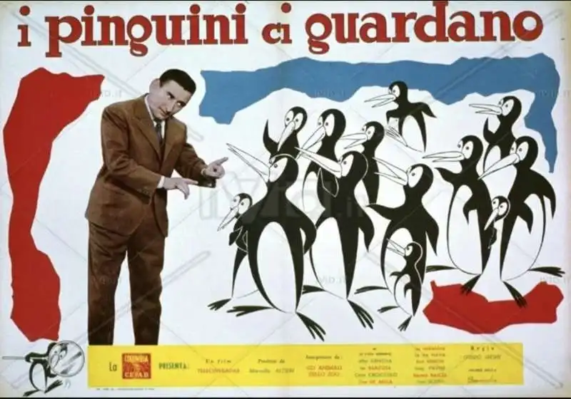 i pinguini ci guardano 