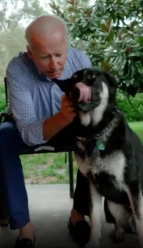 joe biden e il cane