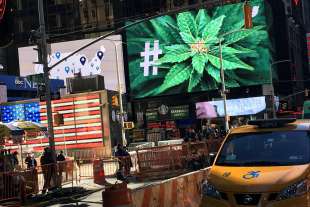 marijuana new york