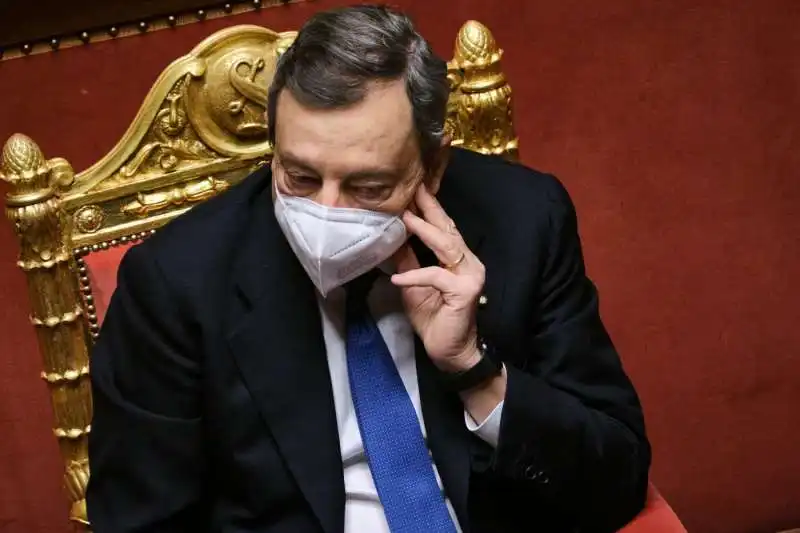 mario draghi al senato 1