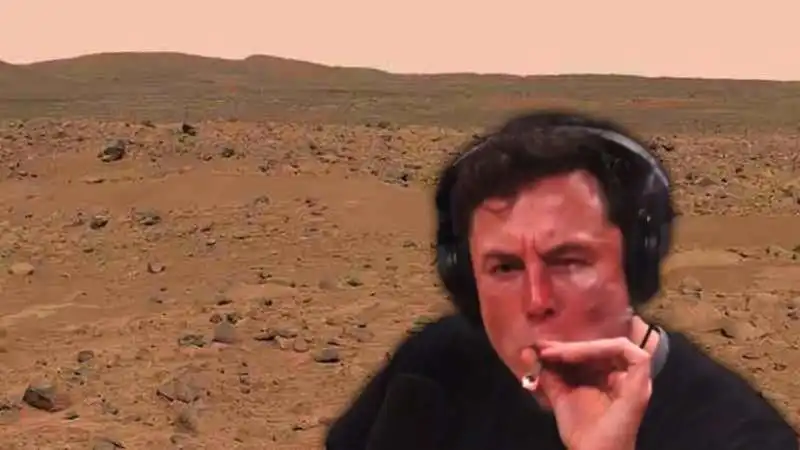 MEME ELON MUSK MARTE