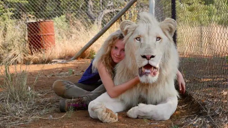 mia e il leone bianco