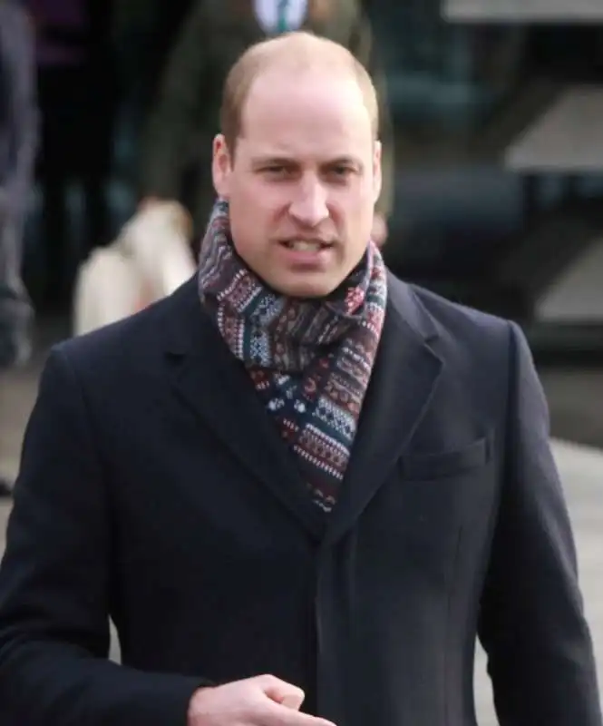 principe william