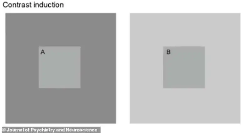 TEST ILLUSIONE OTTICA 2