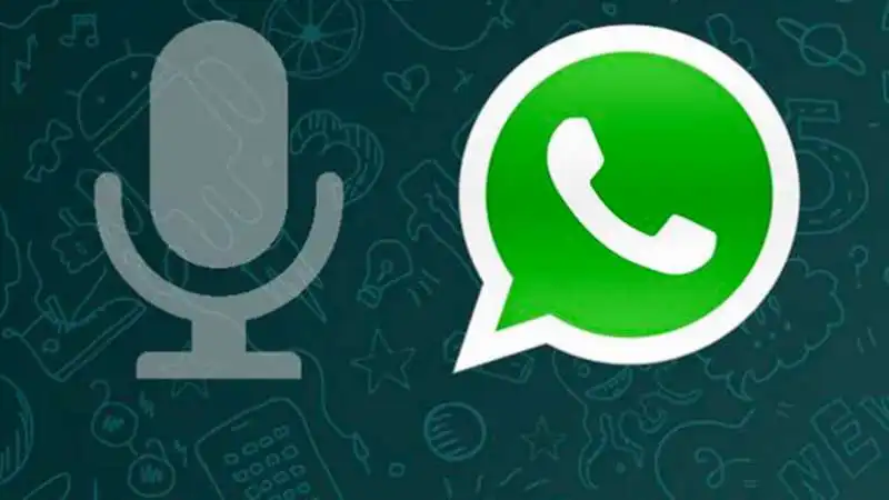 vocali whatsapp