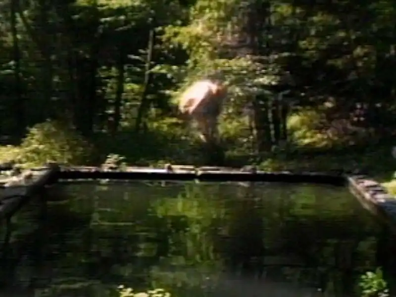 bill viola the reflecting pool 