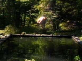 bill viola the reflecting pool