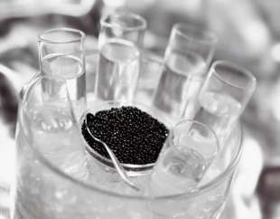 CAVIALE VODKA