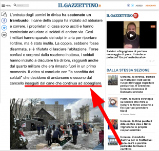 Gazzettino - Cane che continua ad abbagliare (1)